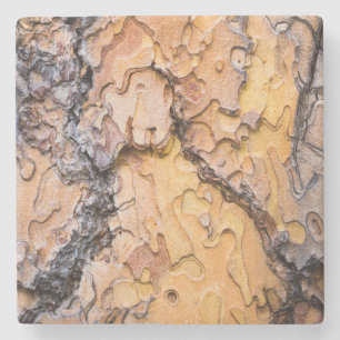 Ponderosa pine bark, Washington Stone Coaster