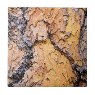 Ponderosa pine bark, Washington Tile