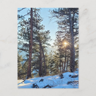 Ponderosa Shine Colorado Mountain Postcard