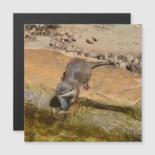 **"Pondside Feast: An Otter and His Catch"**