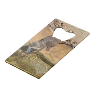 **"Pondside Feast: An Otter and His Catch"**