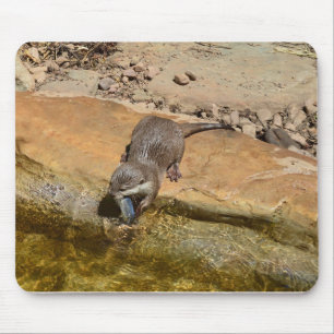 **"Pondside Feast: An Otter and His Catch"** Mouse Pad