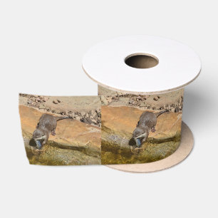 **"Pondside Feast: An Otter and His Catch"** Satin Ribbon