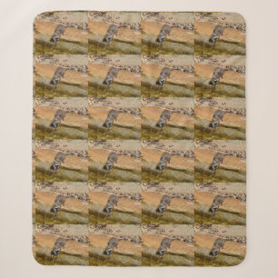 **"Pondside Feast: An Otter and His Catch"** Sherpa Blanket