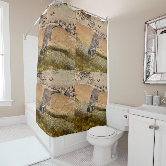 **"Pondside Feast: An Otter and His Catch"** Shower Curtain (In Situ)