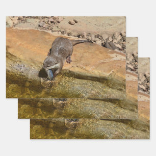 **"Pondside Feast: An Otter and His Catch"** Wrapping Paper Sheet