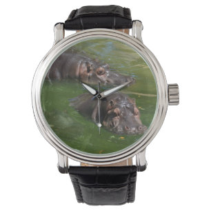 **"Pondside Play: Two Hippos Swimming Together"** Watch