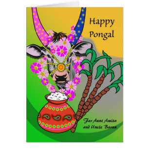 Pongal for Aunt and Uncle with Cow and Rice