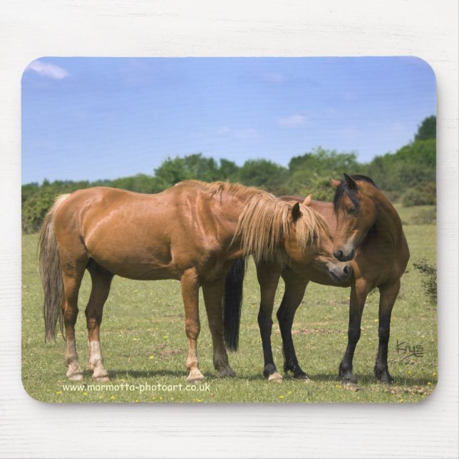 Ponies in Love Mousemat (Front)