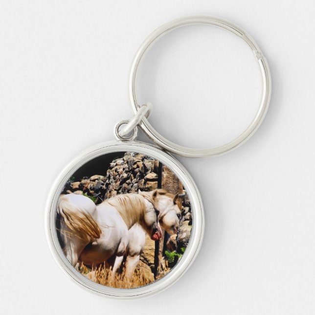 PONIES KEY RING (Front)