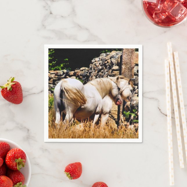 PONIES NAPKIN (Insitu)