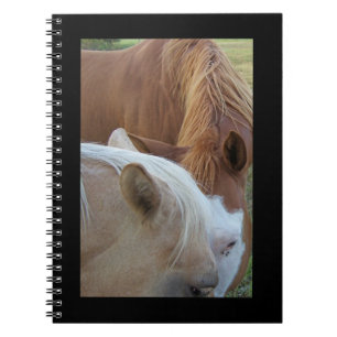 Ponies Notebook