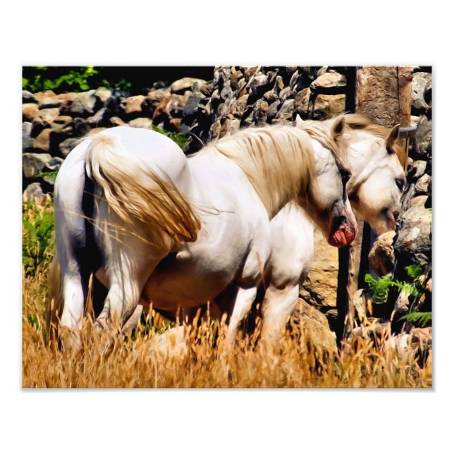 PONIES PHOTO PRINT (Front)