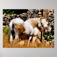 PONIES