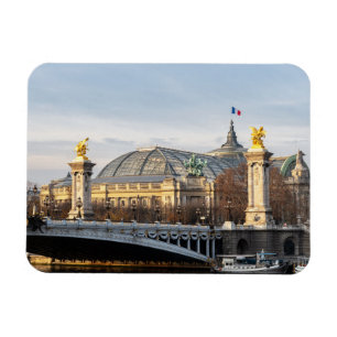 Pont Alexandre III and Grand Palais at golden hour Magnet