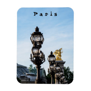 Pont Alexandre III - Paris, France Magnet