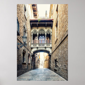 Pont del Bisbe Poster