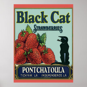 Pontchatoula Strawberries, Vintage Cat Poster