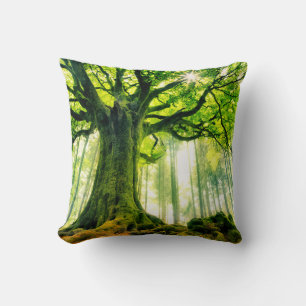 Ponthus' Beech Cushion