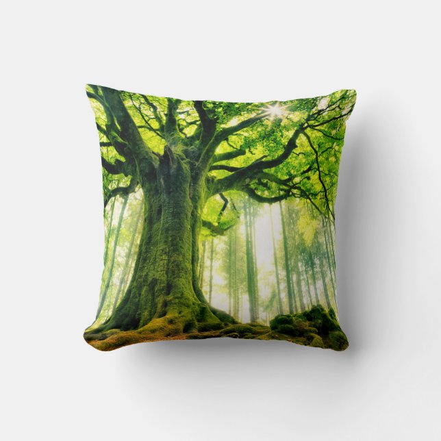 Ponthus' Beech Cushion (Front)