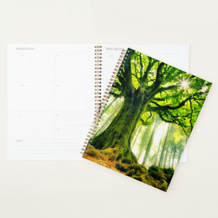 Ponthus' Beech Planner