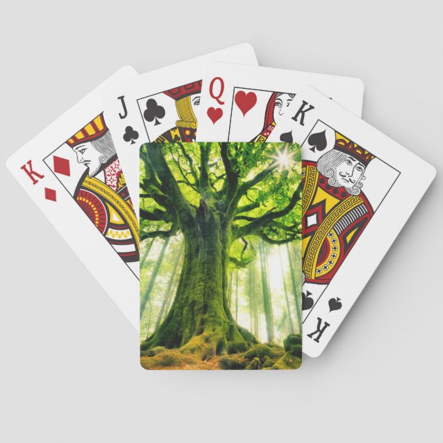 Ponthus' Beech Playing Cards (Back)