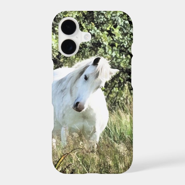 PONY (Back)