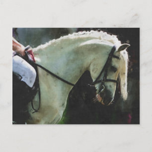 Pony at a show postcard
