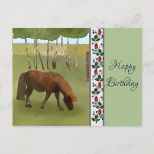 Pony auf der Weide Postcard