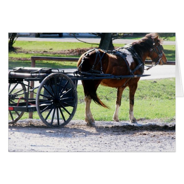 Pony Cart (Front Horizontal)