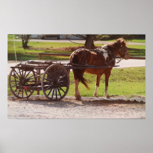 Pony Cart Poster
