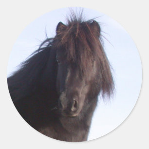 Pony Classic Round Sticker