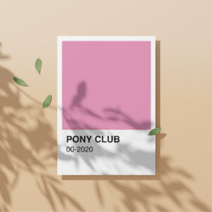 Pony Club Song Pink Colour - White Background Poster