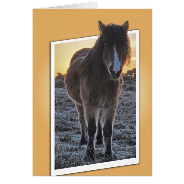 Pony cut-out card (Front)
