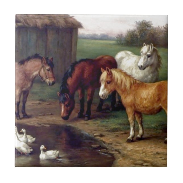 Pony donkey ducks farm ceramic tile (Front)