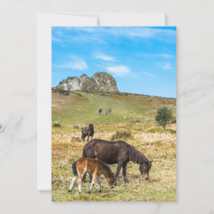 Pony Haytor rock in Dartmoor national park Devon Holiday Card