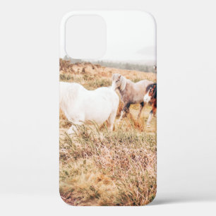 PONY HERD IN THE AUTUMN iPhone 12 CASE