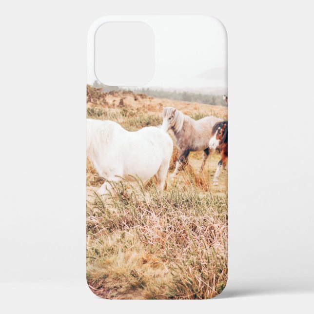 PONY HERD IN THE AUTUMN Case-Mate iPhone CASE (Back)