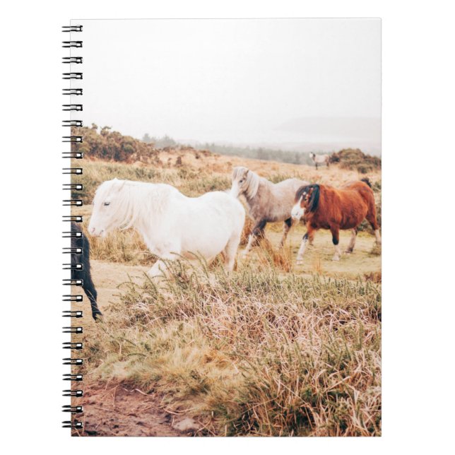 PONY HERD IN THE AUTUMN NOTEBOOK (Front)