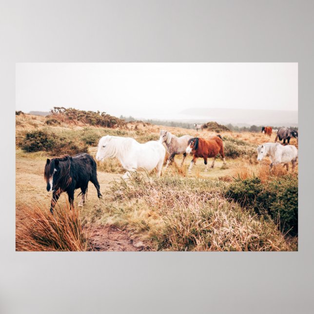 PONY HERD IN THE AUTUMN POSTER (Front)
