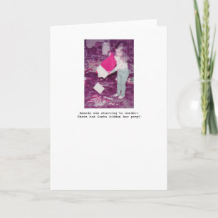 Pony Holiday Greeting Card