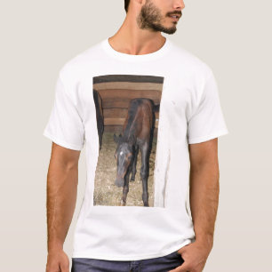 Pony/Horse T-Shirt