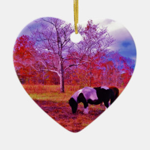 PONY IN A RAINBOW  coloured field Ceramic Ornament
