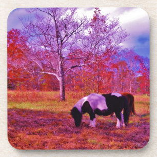 PONY IN A RAINBOW coloured field Coaster
