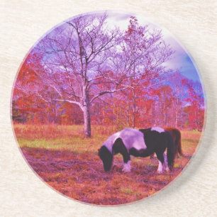 PONY IN A RAINBOW coloured field Coaster