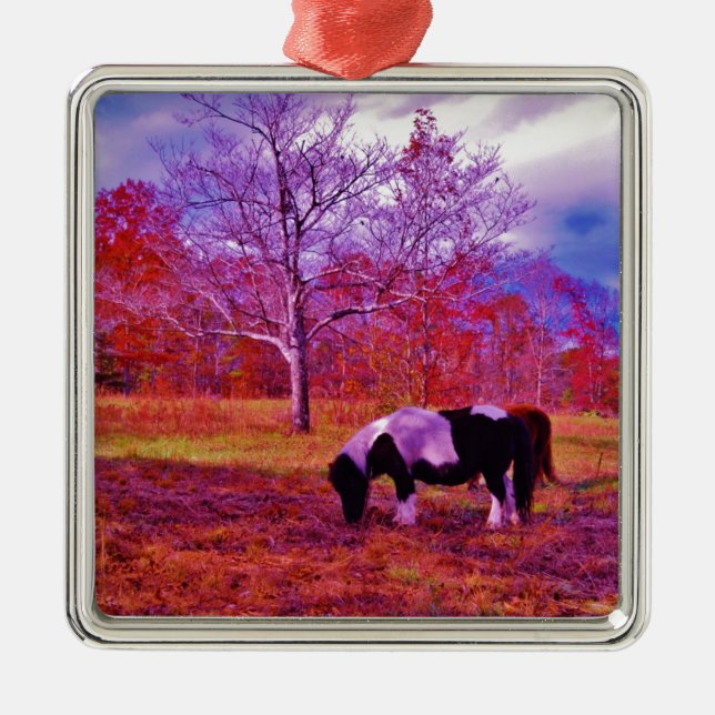 PONY IN A RAINBOW  coloured field Metal Ornament (Front)