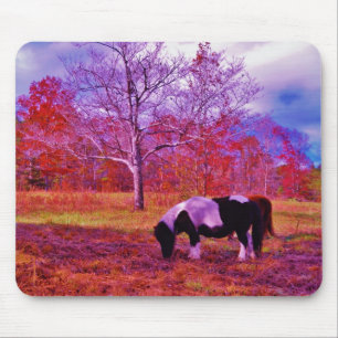 PONY IN A RAINBOW coloured field Mouse Pad