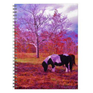 PONY IN A RAINBOW coloured field Notebook