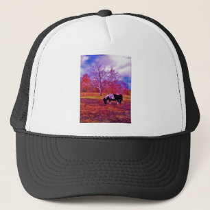 PONY IN A RAINBOW coloured field Trucker Hat