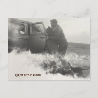 Pony in Car Postcard